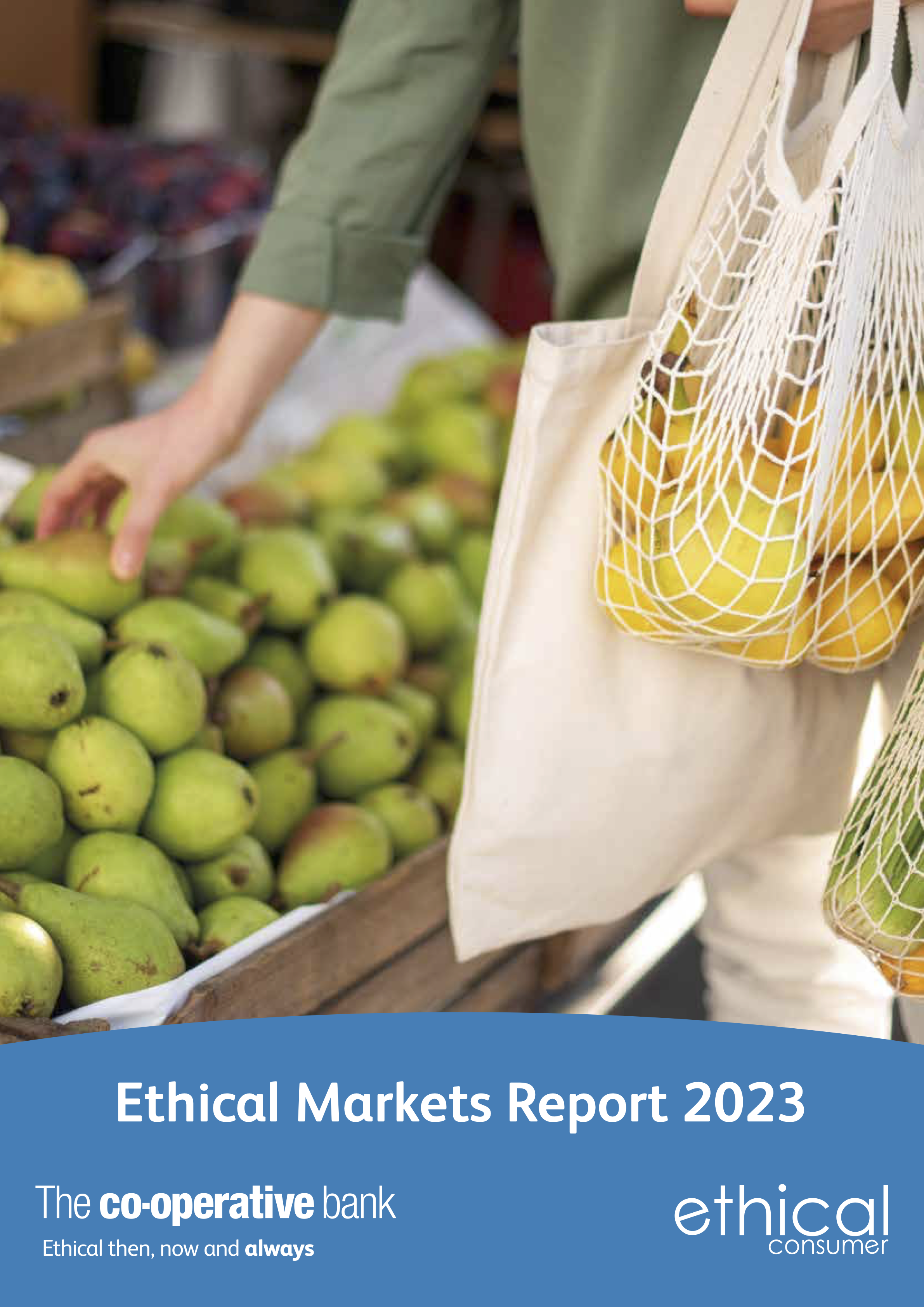 Ethical Markets Report cover